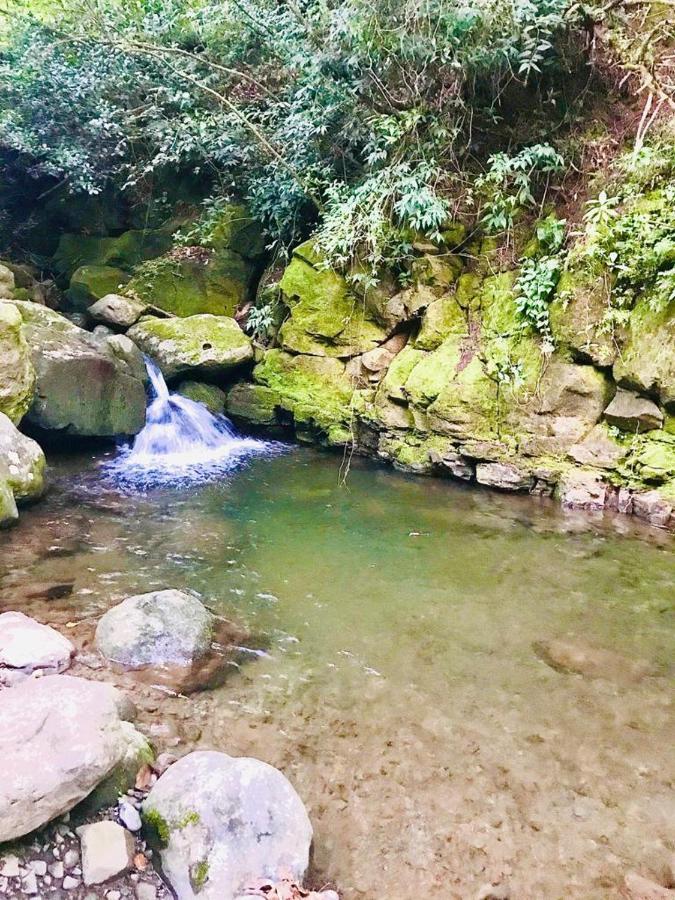 Cabana Treehouse Mountain View San Isidro  Esterno foto