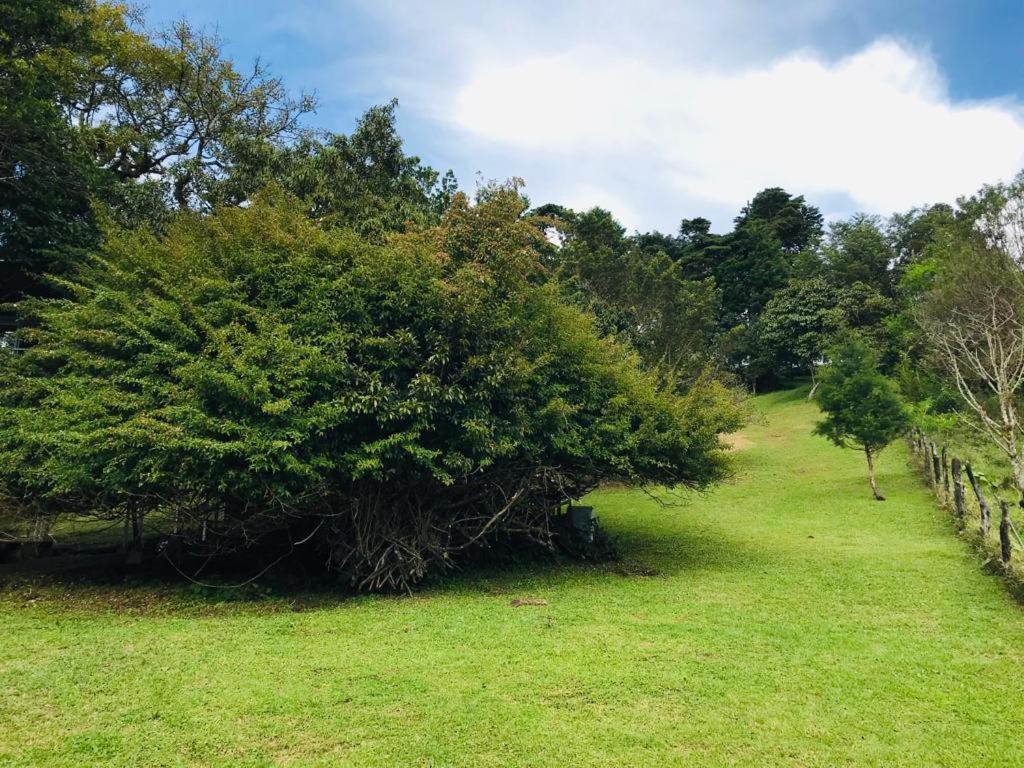 Cabana Treehouse Mountain View San Isidro  Esterno foto