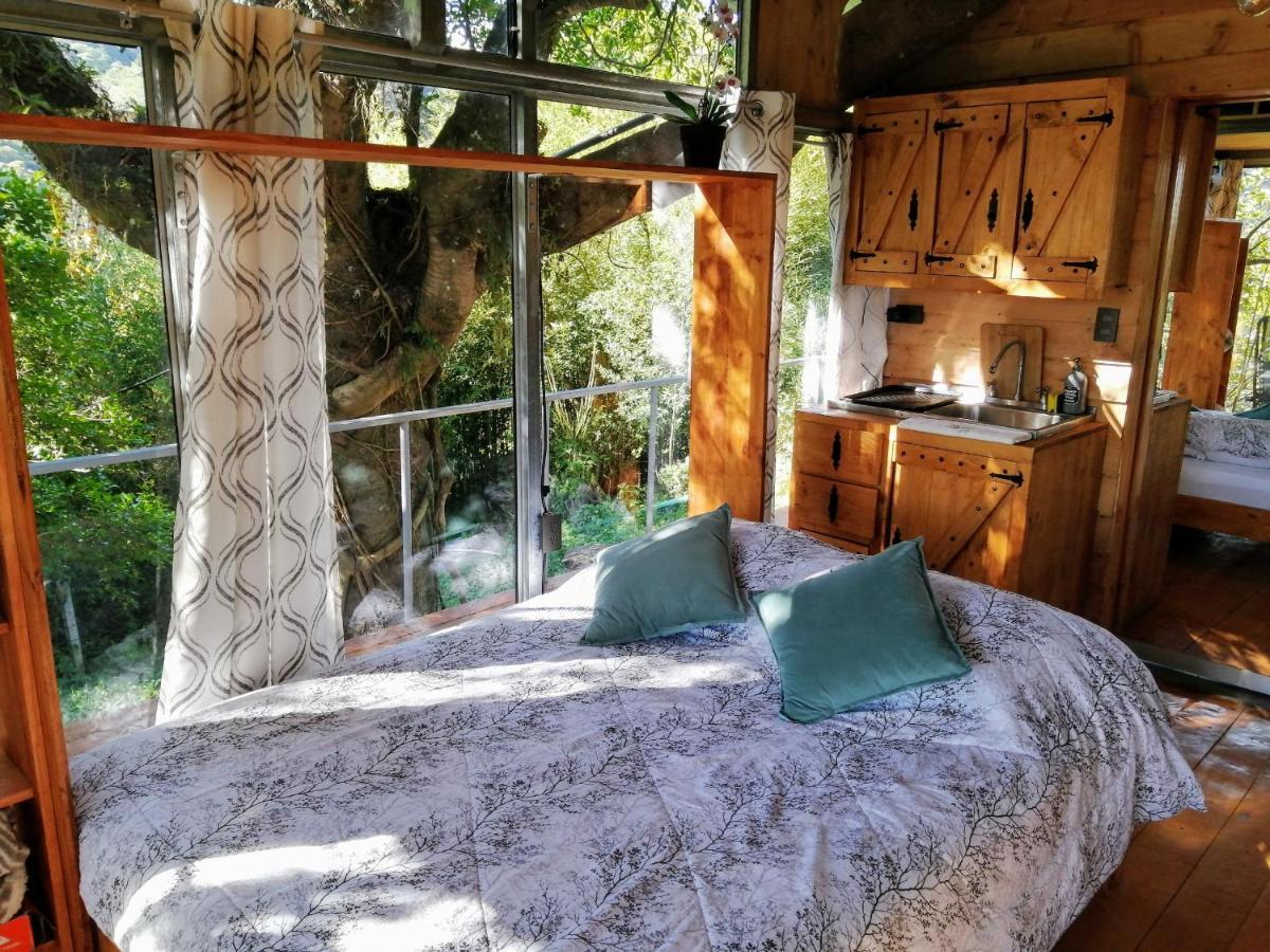 Cabana Treehouse Mountain View San Isidro  Esterno foto